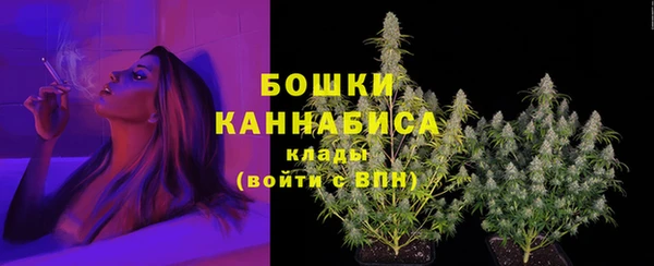 амф Магас