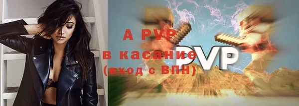 ECSTASY Майский