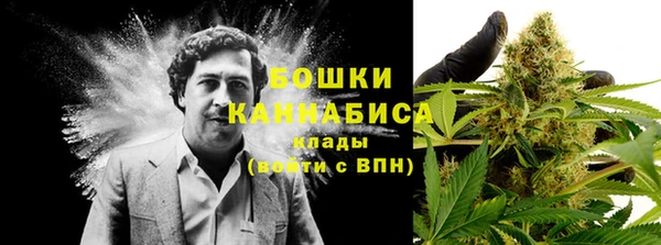 ECSTASY Майский