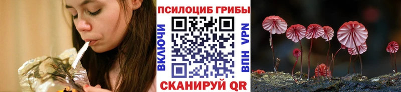 хочу наркоту  МЕГА зеркало  Галлюциногенные грибы Psilocybine cubensis  Новоаннинский 